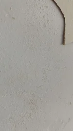 Applied mist coat, plaster falling off....