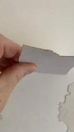 Applied mist coat, plaster falling off....