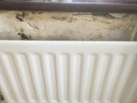 Repairing plaster before wallpapering - Need Advice