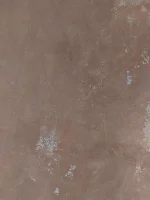 Help - damp plaster - don't know what to do