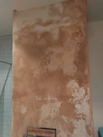 Help - damp plaster - don't know what to do