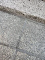 Patio sand/cement pointing