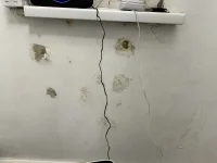Damp patches under indow cill help help help