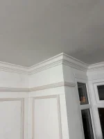 Hi! Would appreciate coving advice