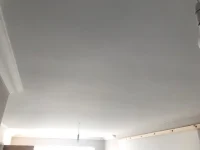 Opinion on Finished Skim