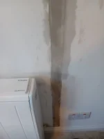 Bonding adhesive