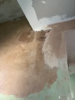 Replastering?
