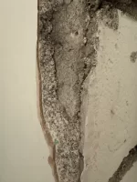 Internal stone wall help