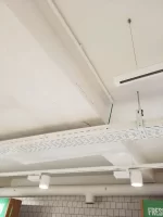 looking for some advice on my first job