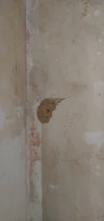 I removed mouldy wallpaper to find this - any guidance appreciated