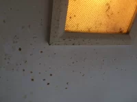 Worst house I have worked in!