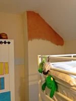 hygroscopic salts in chimney breast