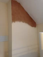 hygroscopic salts in chimney breast