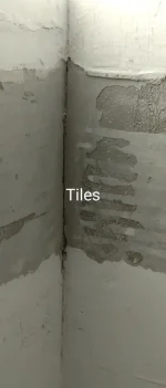 Need some help. Plaster wall repair - horsehair