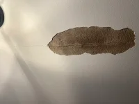Newbie seeking advice about ceiling patch