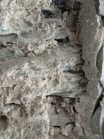 Sand cement or lime?