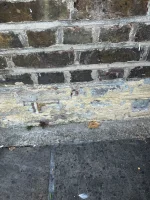 Looking for an external lime renderer, Berkshire