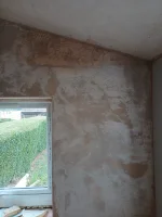 Disaster