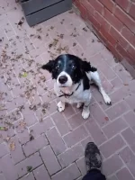 Mental health and depression