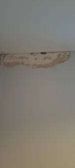 Brick Wall plaster patch