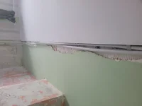 Finished my first job