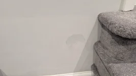 Troublesome spot keeps reappearing