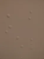 Bubbles on my plaster when Painting...
