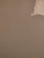 Bubbles on my plaster when Painting...