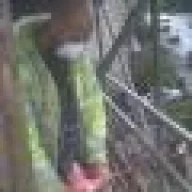 LongstrokePlastering