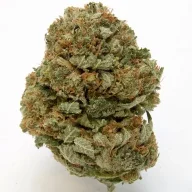 weedbudbase