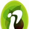 Industrial Plasters Ltd