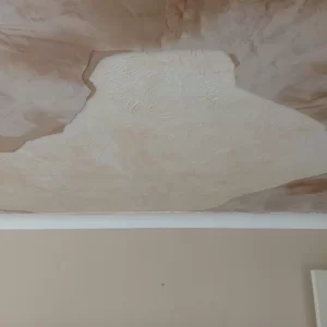 Plaster