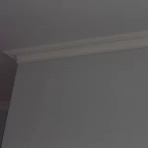 SAM_2795.JPG