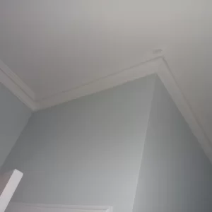 SAM_2797.JPG