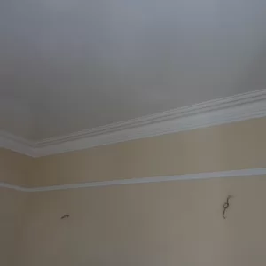 SAM_2799.JPG